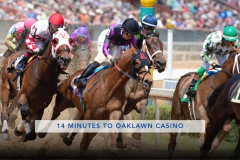 Steps to the Lake, Game Room & More! Sleeps 9 House in Lake Hamilton