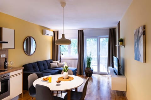 TV and multimedia, Balcony/Terrace, Living room, Seating area, Dining area, air conditioner