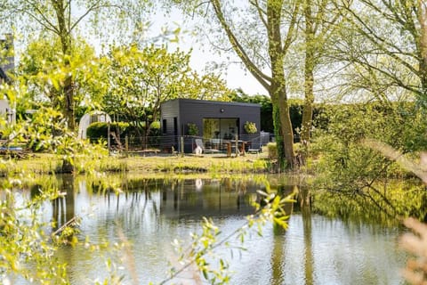 Lake view