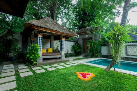 Area and facilities, Swimming pool