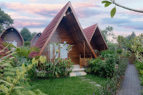 Property building, Garden, Garden view