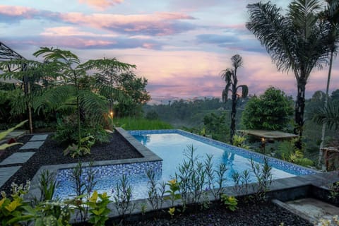 View (from property/room), Swimming pool, Sunset