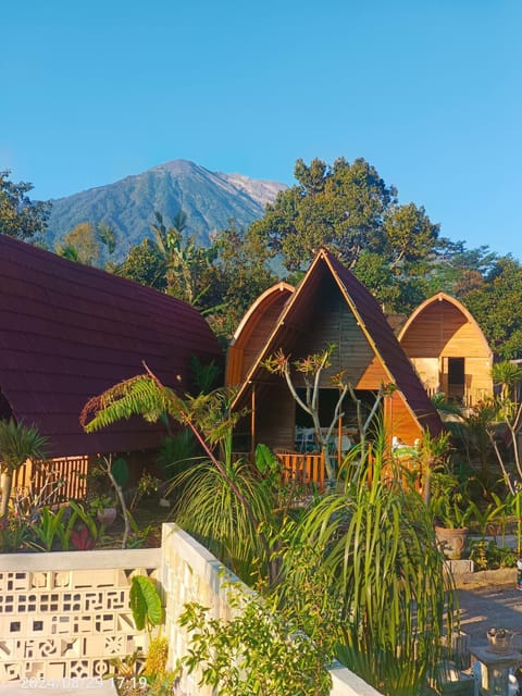Natural landscape, Garden view, Mountain view