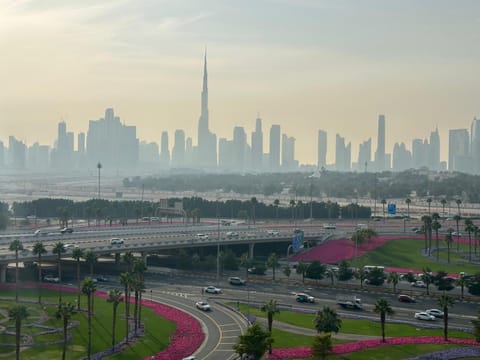 Natural landscape, City view, Sunset