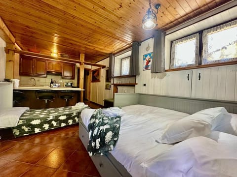 MCX Vacation Rental- Le Petit Coeur Du Mont Fleury, Studio Pet Friendly, just 500 meters from the ski lifts ! Apartment in Valtournenche