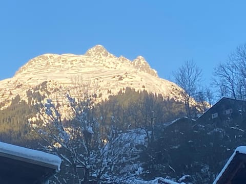 Casa Vegana, 3,5 Zi Wohnung, 5 PL, 2 Bäder Apartment in Canton of Grisons