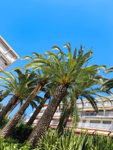 Home2Sea - Piscine, Jardin, studio cabine, 1 canapé lit convertible 2 ADULTES, 1 lit superposé triple 3 ENFANTS ou ADOS Cabin in French Riviera