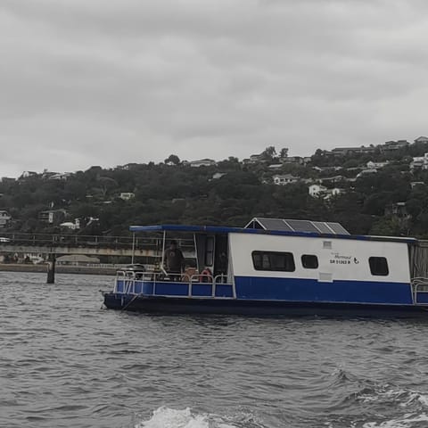 The Little Mermaid Knysna houseboat Docked boat in Knysna