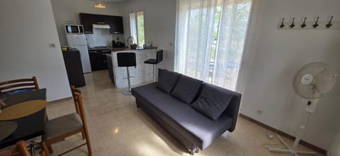 Kitchen or kitchenette, Living room, Dining area, oven, stove