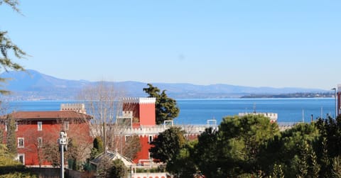 Lake view