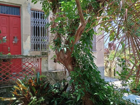 Quiet Old House with Garden in Botafogo House in Santa Teresa