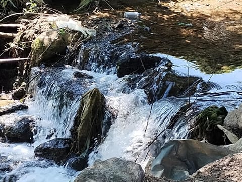 Studio Ivana 3 Apartment in Serbia