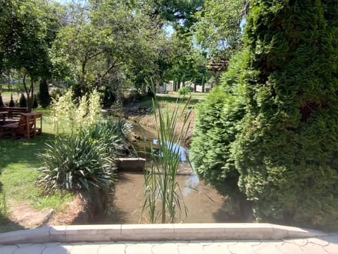 Studio Ivana 3 Apartment in Serbia