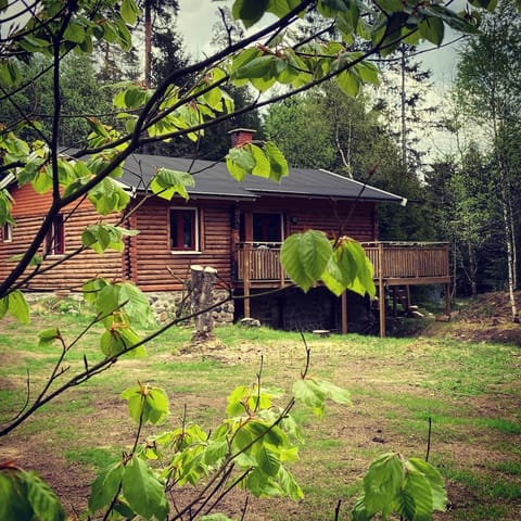 Spring, Day, Garden, Garden view