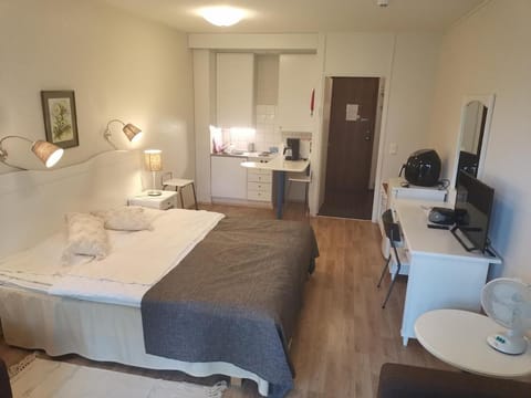 Bed, TV and multimedia, Kitchen or kitchenette, Photo of the whole room, Seating area, Bedroom