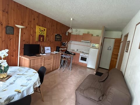 Appartement cosy 1 chambre, au centre de Super Besse - FR-1-814-1 Apartment in Besse-et-Saint-Anastaise