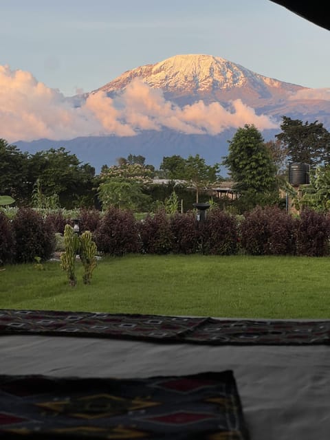 Mountain view, Mountain view