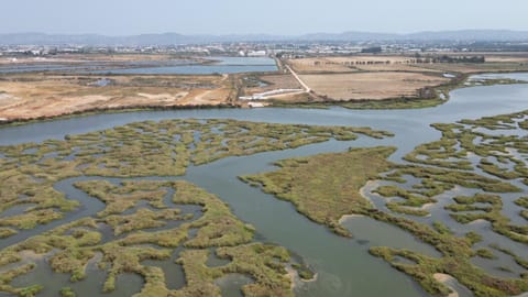 Nearby landmark, Day, Natural landscape, Activities, Bird's eye view, Fishing, View (from property/room), Lake view, Landmark view, River view, Sea view