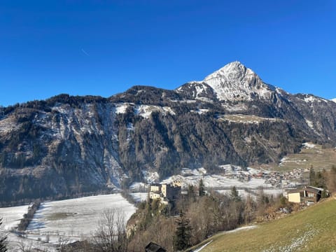 Ferienwohnung Florian & Camilla Apartment in Salzburgerland