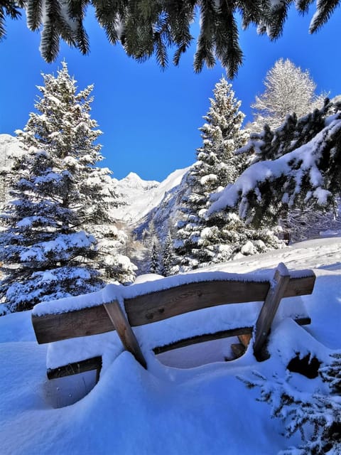 Ferienwohnung Florian & Camilla Apartment in Salzburgerland