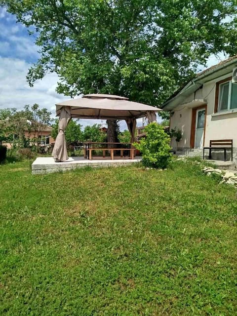 Spring, Natural landscape, Garden, Garden