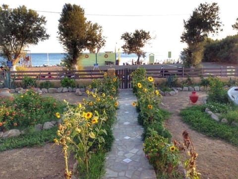 Natural landscape, Garden