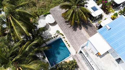 Swimming pool, Swimming pool, Swimming pool