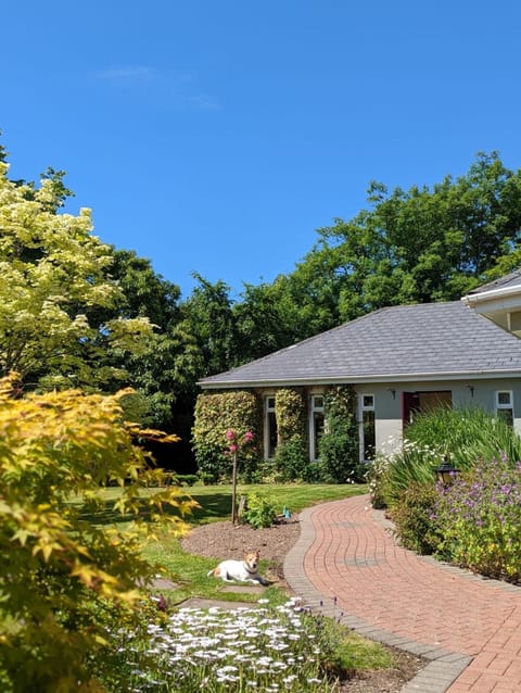 Property building, Garden, Garden view