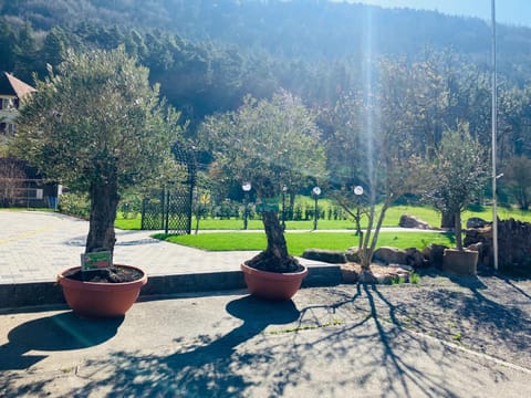 Garden, View (from property/room), Balcony/Terrace, Mountain view