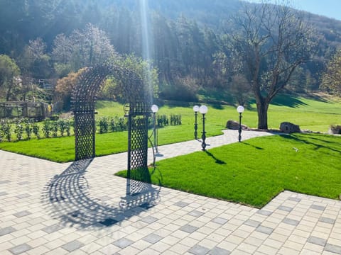 Spring, Day, Natural landscape, Garden, Garden, Garden view