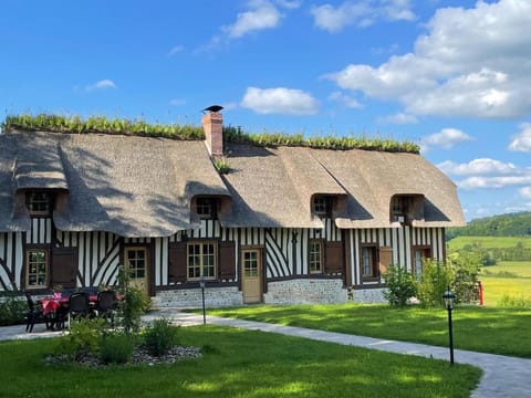 Property building, Garden, Garden view