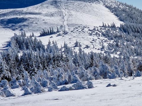 Appartement au pied des pistes avec garage privé - FR-1-814-13 Apartment in Besse-et-Saint-Anastaise