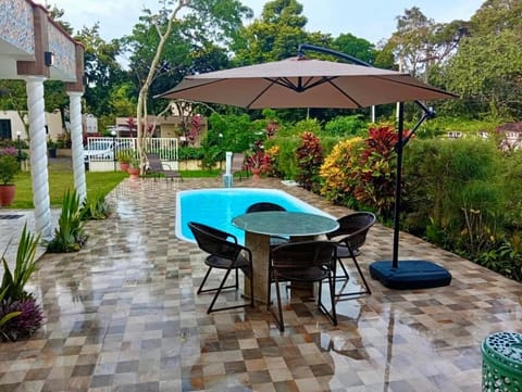 Spring, Dining area, Garden view