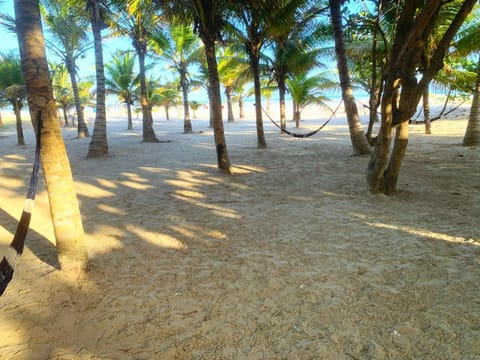 Natural landscape