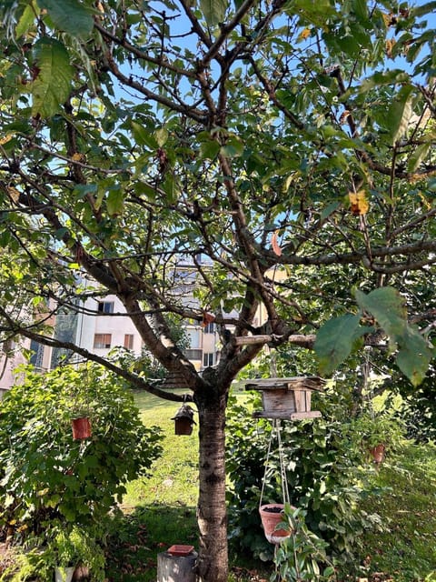 Nandi-HolidaySport&Relax-Apt Apartment in Tarvisio