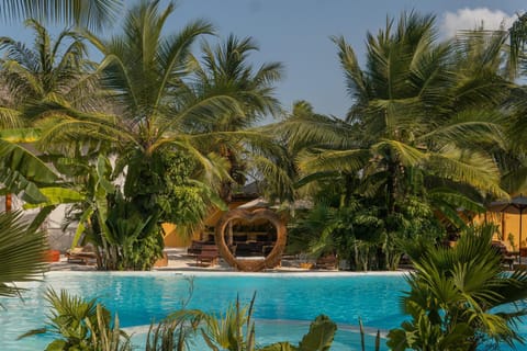 Day, Pool view, Swimming pool