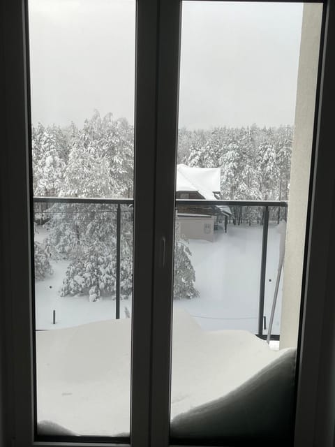 Vila Leona E3 Apartment in Zlatibor District, Serbia