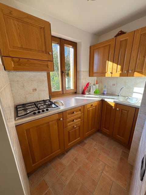 Kitchen or kitchenette, dishwasher