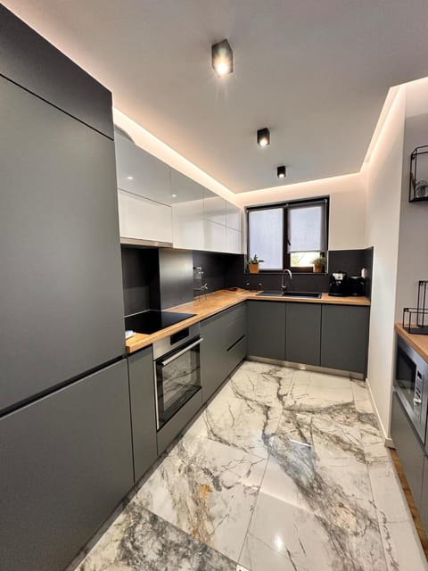 Kitchen or kitchenette, dishwasher, oven, stove