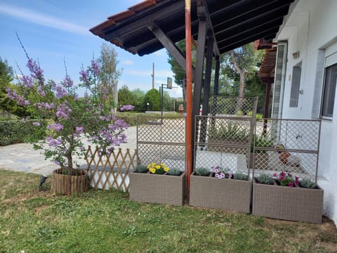 Property building, Garden