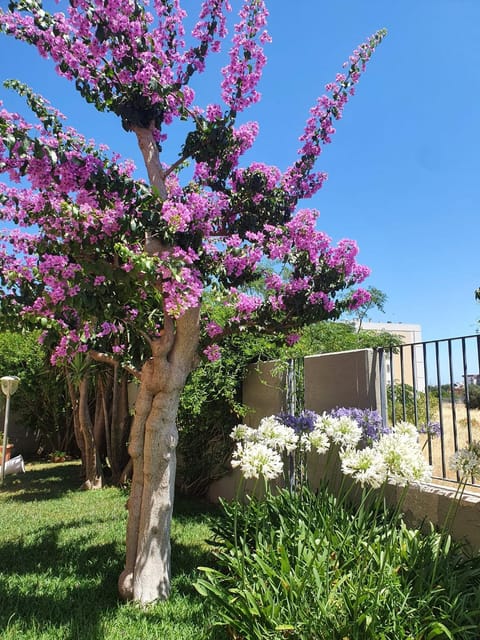 Garden, Garden