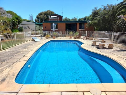 Day, Pool view, Swimming pool, Swimming pool, sunbed