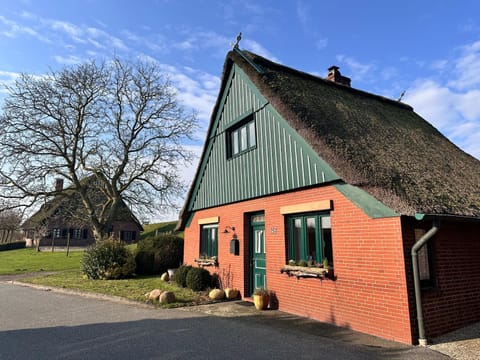 Property building, Spring, Day, Neighbourhood, Street view