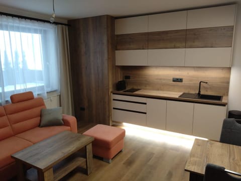 Kitchen or kitchenette, Living room