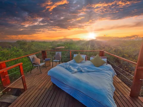 Bedroom, Sunrise, Sunset