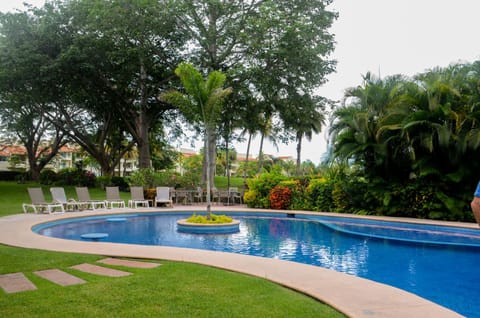 Garden, Swimming pool, sunbed