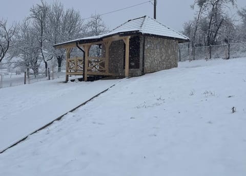 Seoski turizam Domaćinstvo Tošanić Apartment in Zlatibor District, Serbia