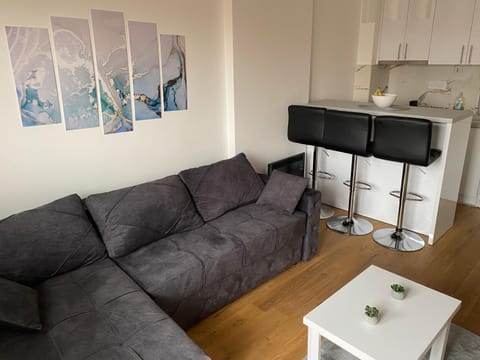 Dejana apartman Apartment in Zlatibor