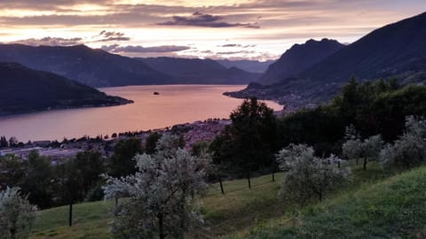 City view, Garden view, Lake view, Landmark view, Mountain view, Sunset