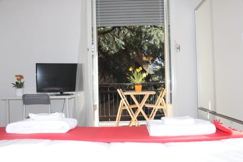 TV and multimedia, Photo of the whole room, Decorative detail